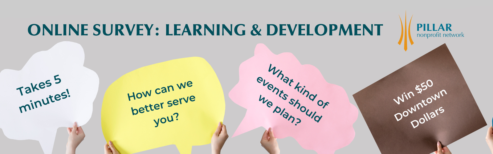 Online Survey - Learning & Development