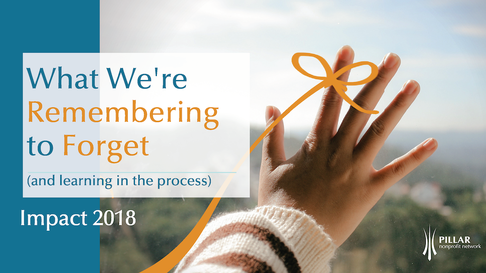 Pillar Impact Report 2018
